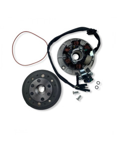 Stator i magneto 12V 6 cewek pitbike 140 YX 2