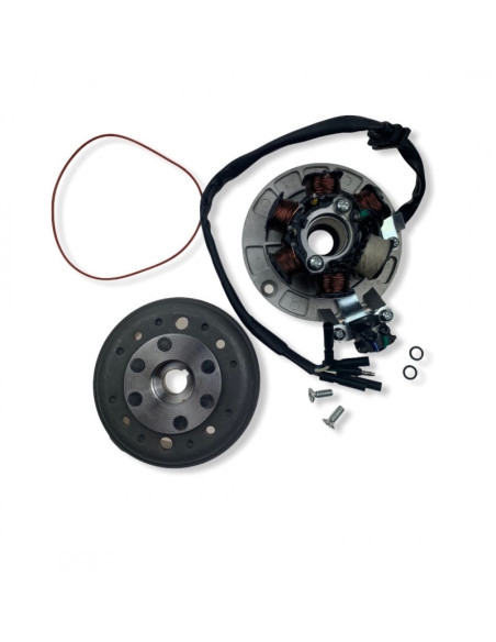 Stator i magneto 12V 6 cewek pitbike 140 YX