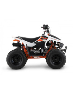 Quad KAYO AY70