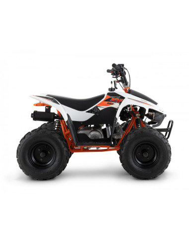 Quad KAYO AY70