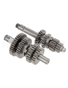 Skrzynia biegów pitbike ZS155 YCF