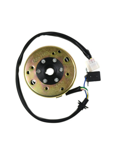 Stator + magneto quad A180 Kayo