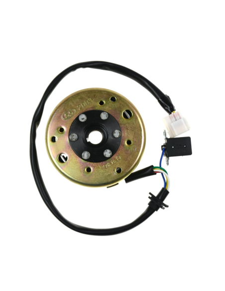 Stator + magneto quad A180 Kayo