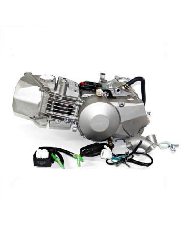 Silnik 190 cm3 4v 4-biegi FSM pitbike Anima Daytona