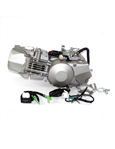 Silnik 190 cm3 4v 4-biegi FSM pitbike Anima Daytona