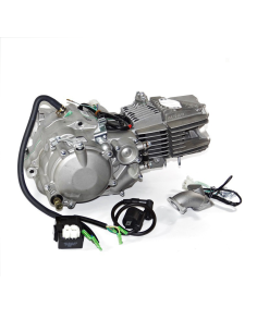 Silnik 190 cm3 4v 4-biegi FSM pitbike Anima Daytona 2