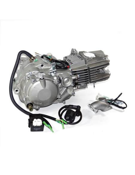 Silnik 190 cm3 4v 4-biegi FSM pitbike Anima Daytona