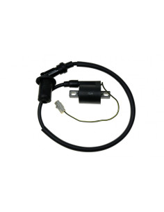 Cewka zapłonowa + fajka Kayo A180/AU180