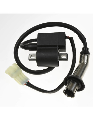 Wtrysk komplet A300 Kayo