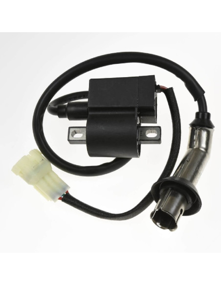 Wtrysk komplet A300 Kayo