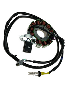 Stator 300-75 dirt bike KAYO