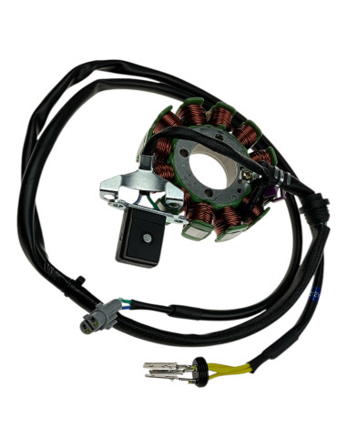 Stator 300-75 dirt bike KAYO