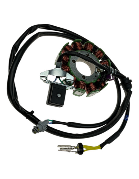 Stator 300-75 dirt bike KAYO
