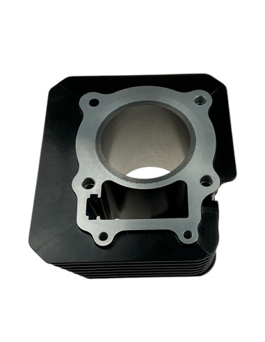 Cylinder 300-75 dirt bike T4 300 KAYO