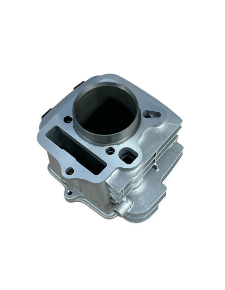 Cylinder 54mm pitbike 125 YCF