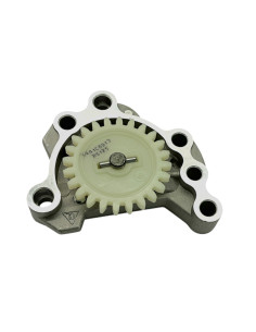 Pompa oleju ZS/S125-S pitbike KAYO
